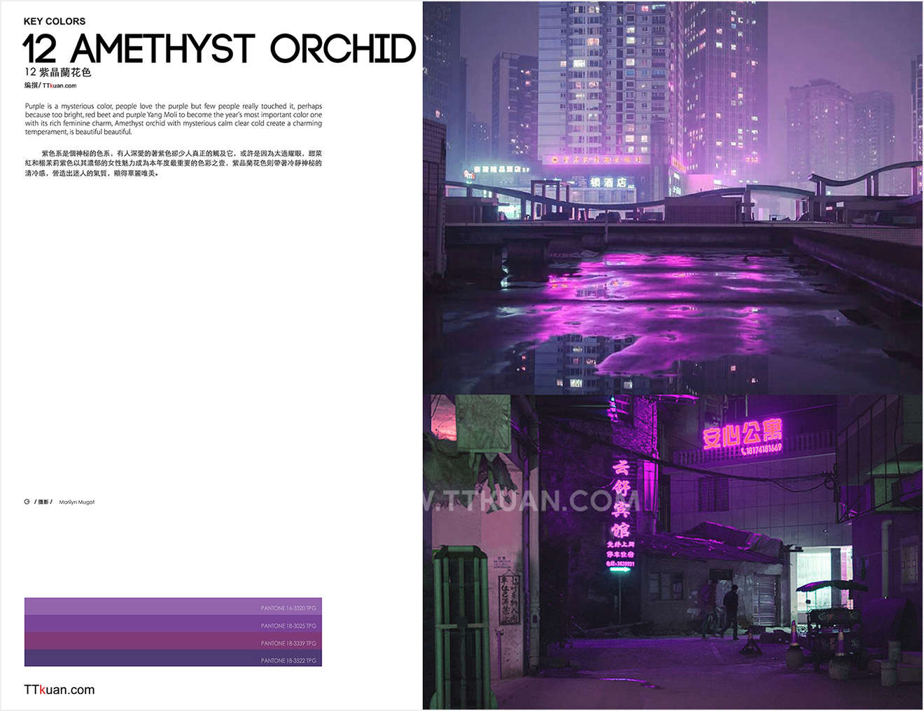 麂皮絨,麂皮絨現(xiàn)貨,針織麂皮絨,彈力麂皮絨,空氣層麂皮絨,麂皮絨復(fù)合羊羔絨,燈芯絨,燈芯絨面料,燈芯絨現(xiàn)貨,韓國絨,仿麻布,麂皮,金舵紡織