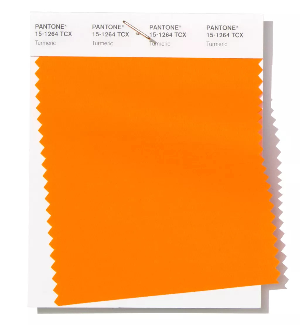 2019春夏流行色:姜黃