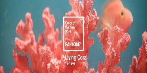 2019 年度流行色來(lái)了 —— 珊瑚橙Living Coral